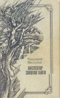 Владимир Митыпов - Инспектор Золотой тайги