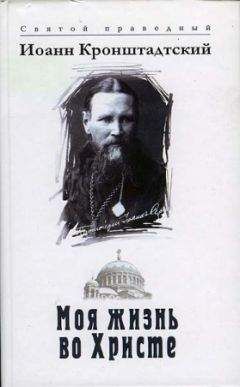 Иоанн Кронштадтский - Дневник. Том III. 1860-1861. Созерцательное богословие. Крупицы от трапезы Господней