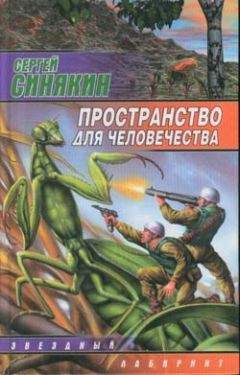 Сергей Палий - Изнанка