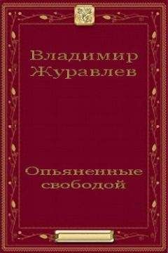 Владимир Журавлев - Имаго