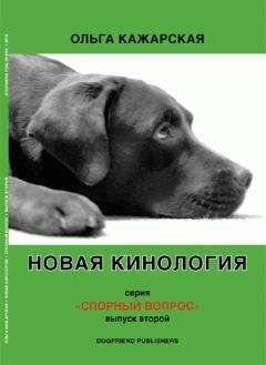 Борис Ратников - Картина мира в представлении спецслужб от мистики до осмысления