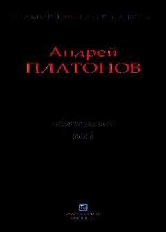 Андрей Платонов - Из генерального сочинения