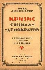 Роза Люксембург - О социализме и русской революции