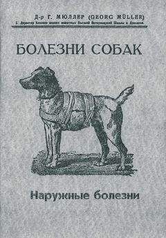 Анастасия Никольская - Диагностика и коррекция отклоняющегося поведения у собак