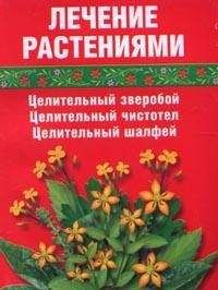 Нина Башкирцева - Зверобой – болезням бой