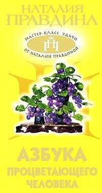 Мартин Селигман - Новая позитивная психология: Научный взгляд на счастье и смысл жизни