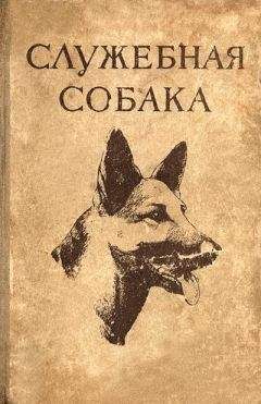 А. Булычев - Релейная защита в распределительных электрических Б90 сетях