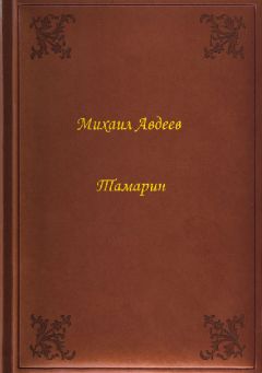 Михаил Авдеев - Тамарин