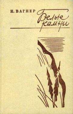 Николай Асанов - Электрический остров