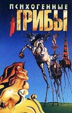 Дмитрий Силлов - Реальный уличный бой. Система выживания на улице, в армии, в тюрьме, в обществе