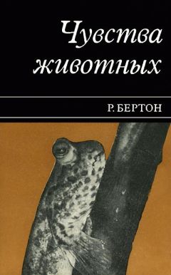 Анна Смирнова - О чем рассказали «говорящие» обезьяны: Способны ли высшие животные оперировать символами?