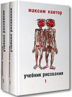 Роберт Уилсон - И обрушилась стена