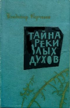 Владимир Корчагин - Тайна реки Злых Духов