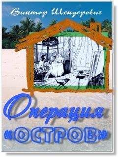 Виктор Ремизов - Одинокое путешествие на грани зимы