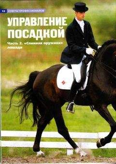 Автор неизвестен  - Происхождение собак и их породная классификация