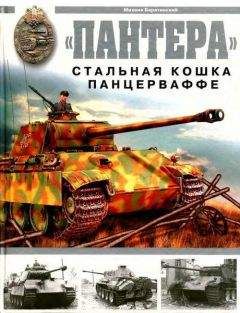 Михаил Барятинский - Лёгкий танк Panzer II