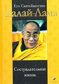 Тензин Гьяцо - Представь себе… Беседы о деньгах, политике и жизни вообще