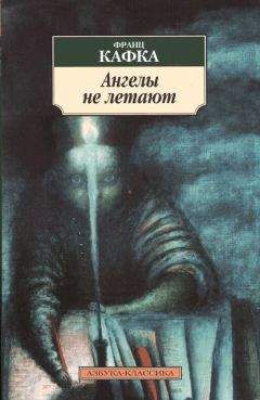 Франц Кафка - Обыкновенная история