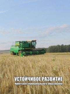 Александр Камянчук - УСТОЙЧИВОЕ РАЗВИТИЕ ИРБИТСКОГО МУНИЦИПАЛЬНОГО ОБРАЗОВАНИЯ Часть вторая