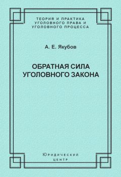 Василий Мальцев - Принципы уголовного права и их реализация в правоприменительной деятельности