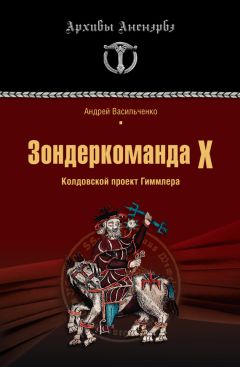 Андрей Васильченко - Тайны черных замков СС