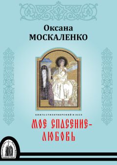 Владимир Полудняков - Эссе председателя городского суда Санкт-Петербурга