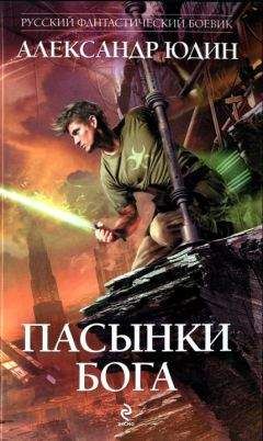 Владимир Поселягин - Зург 3 : Империя