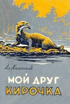 Николай Носов - Незнайка в Солнечном городе (иллюстрации А. Лаптев 1959 г.)