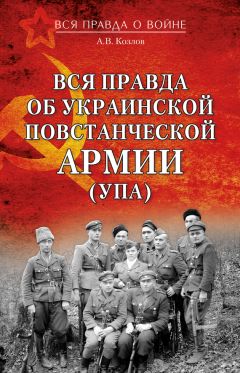 Александр Широкорад - Германия под бомбами союзников. 1939–1945 гг.