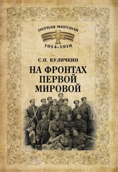 Юрий Данилов - Русские отряды на французском и македонском фронтах (1916-1918 г.г.)