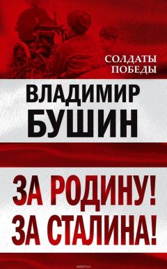 Владимир Бушин - Я посетил сей мир. Из дневников фронтовика