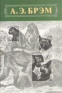 Альфред Брэм - Жизнь животных Том I Млекопитающие