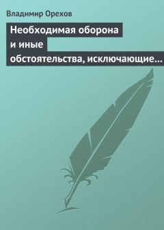 Кирилл Молдаванов - Молодежная преступность и основные направления противодействия ей. Монография