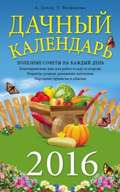 Александр Калинин - Дачный участок со всеми удобствами