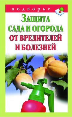 Александр Снегов - Пчеловодство для дома и заработка