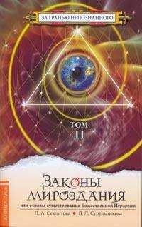 Георгий Сидоров - Хронолого-эзотерический анализ развития современной цивилизации. Книга 4. За семью печатями