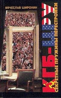 Александр Шубин - Преданная демократия. СССР и неформалы (1986-1989 г.г.)