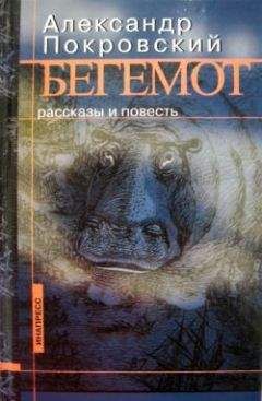 Александр Покровский - Робинзон. Инструкция по выживанию