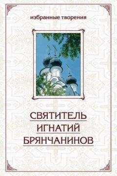 Святитель Игнатий Брянчанинов - Том 5. Приношение современному монашеству