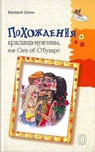 Андрей Кнышев - Тоже книга