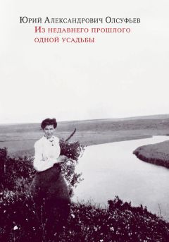 Варлам Шаламов - Несколько моих жизней: Воспоминания. Записные книжки. Переписка. Следственные дела