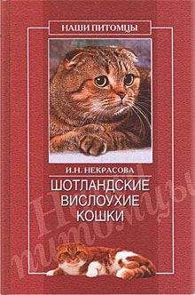 Клер Бессант - Что хочет ваша кошка: Научитесь понимать вашу кошку