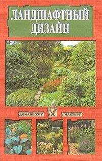 Ольга Минченко - Красивый сад – легко и просто! Ландшафтный дизайн своими руками. Секреты, о которых молчат профессионалы