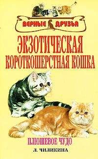 Наталья Романова - Дайте кошке слово