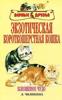 Клер Бессант - Что хочет ваша кошка: Научитесь понимать вашу кошку