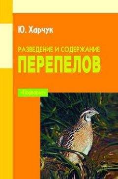 Наталья Дмитриева - Поделки из природных материалов