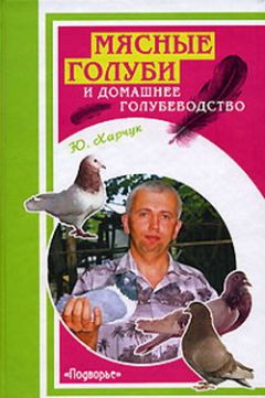 Юрий Харчук - Разведение домашней птицы на ферме и приусадебном участке