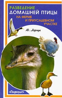 Юрий Харчук - Мясные голуби и домашнее голубеводство