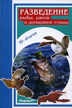 Юрий Харчук - Разведение и содержание волнистых попугайчиков