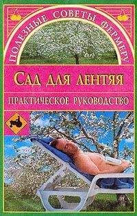 Сесил Битон - Зеркало моды